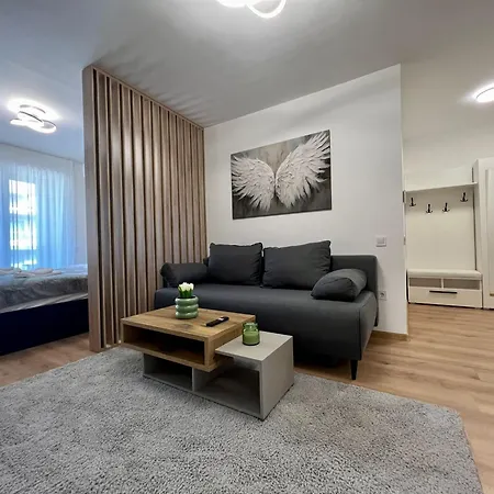 Apartmán Urban - Soporului 1-3 *